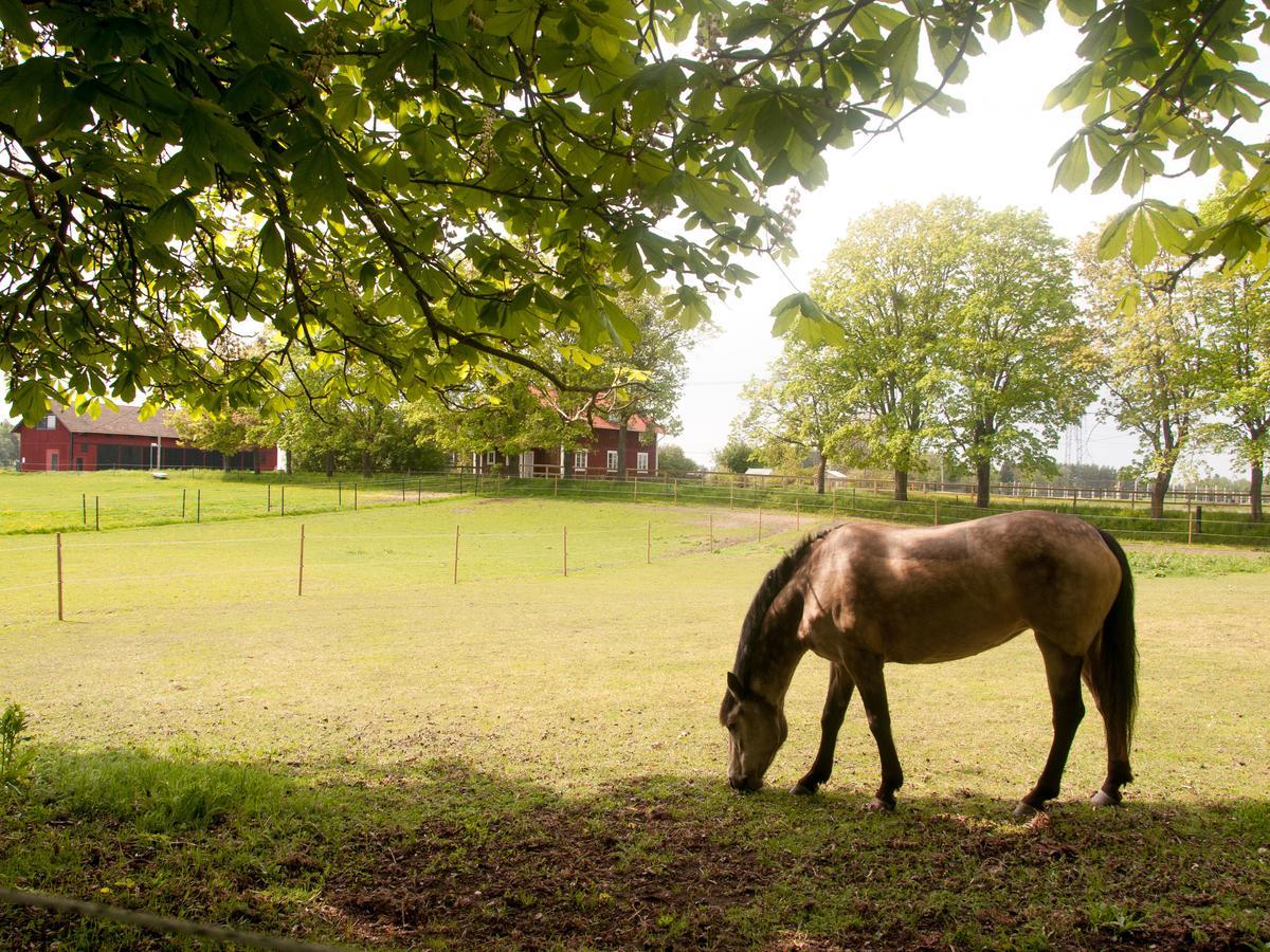 Ekeby I Bro Bed & Breakfast Bagian luar foto